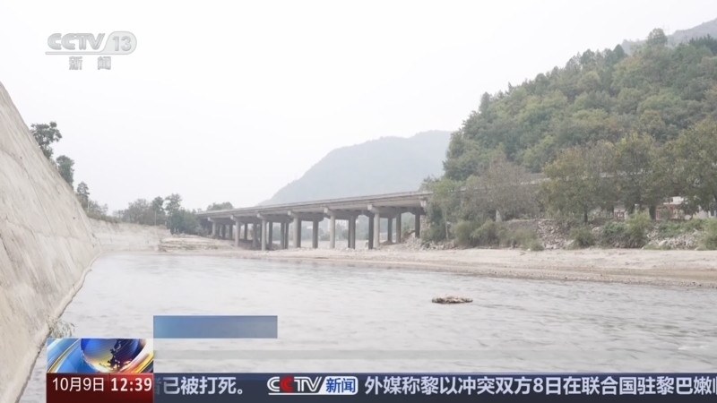 法治在线 《法治在线》 20241009