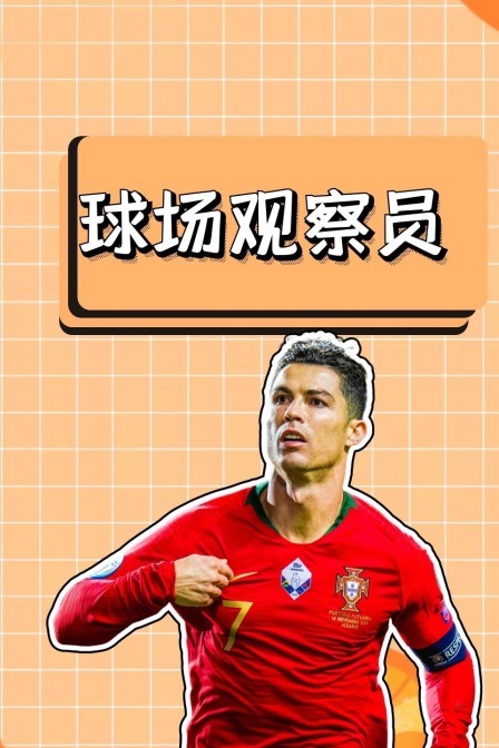 球场观察员
