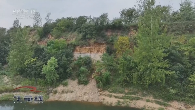 《生命线》 20260305