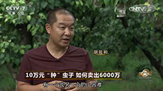 致富经 [致富经]10万元“种”虫子 如何卖出6000万 20160810