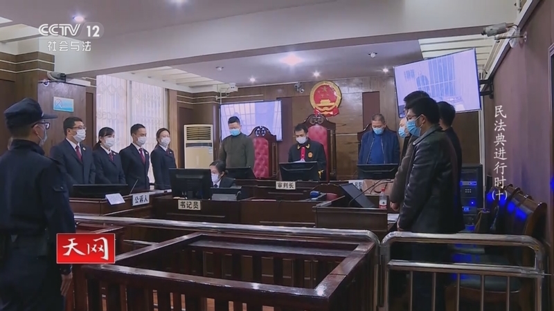 天网 《天网》 20220311 系列纪录片《民法典进行时》（10）