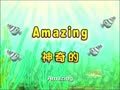 聪明宝宝学英语 为什么向日葵会转动