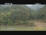 远方的家 《远方的家》 20141206 北纬30°·中国行（9） 潇洒桐庐