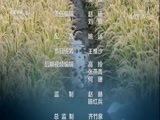 中国财经报道 《中国财经报道》 20171209 五彩收获：粮田里的新商机