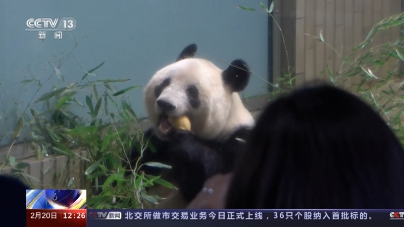 新闻30分 《新闻30分》 20230220