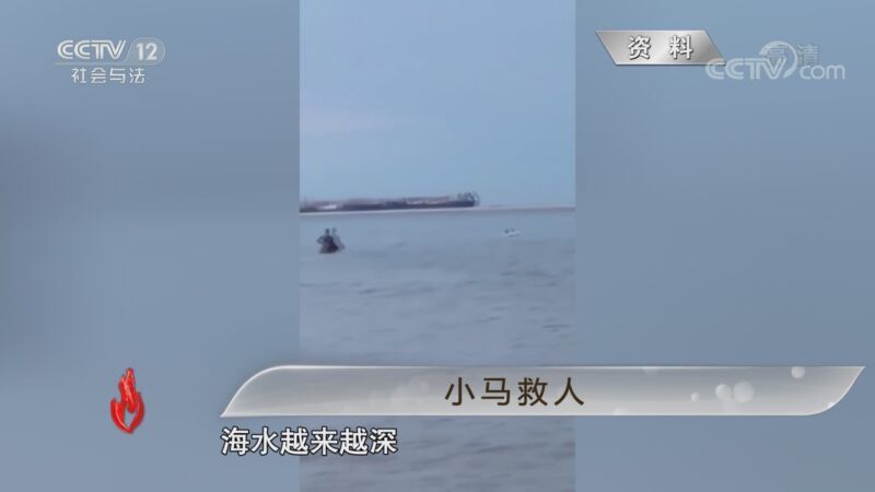 道德观察 《道德观察(日播版)》 20201015 小马救人