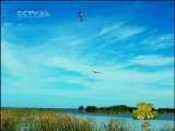 新闻袋袋裤 新闻袋袋裤 2010年 第9期