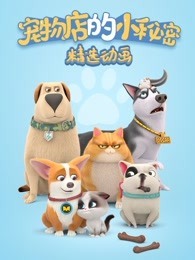 飞狗MOCO之宠物店的小秘密动画精选集