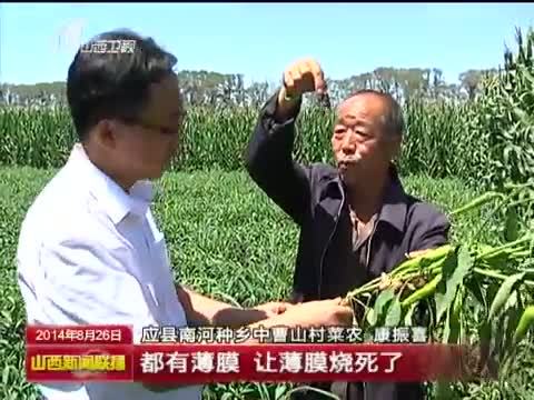山西新闻联播 《山西新闻联播》 20140826