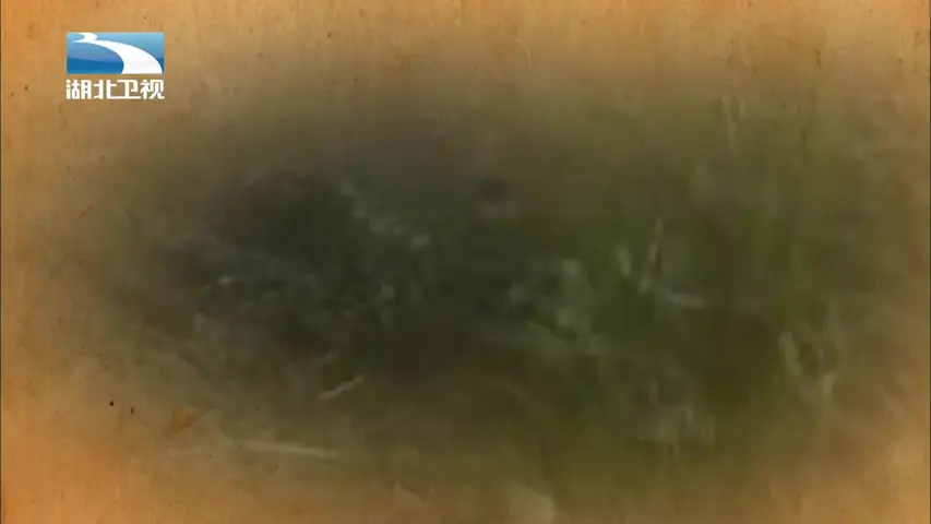 伟大长征 《伟大长征》第5集
