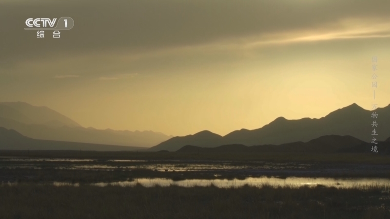 《国家公园——万物共生之境》 第1集 荒原新生