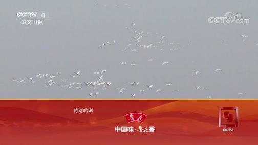 远方的家 《远方的家》 特别节目《大好河山》——三级阶梯看中国（7） 第三阶梯上的别样山川 20181017