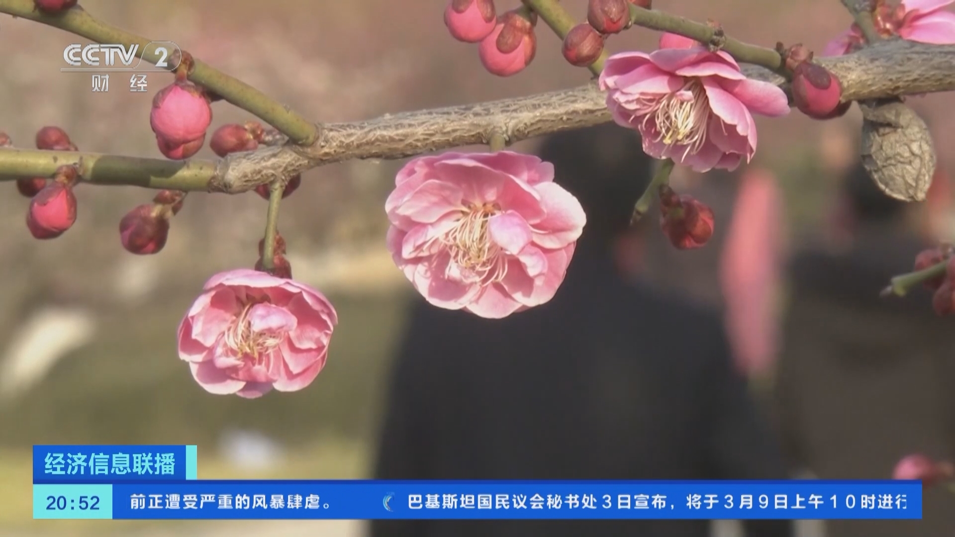 经济信息联播 《经济信息联播》 20240303