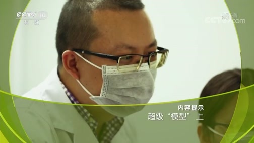 走近科学 《走近科学》 20190325 超级“模型”（上）