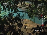 动物世界 《动物世界》 20180502 森林是我家（一）
