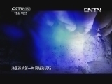 见证 《见证》 20130818 法医传奇 第三集