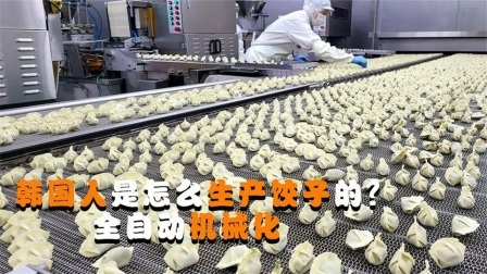 机械控 韩国人是怎么生产饺子的？全自动机械化，这样的饺子好吃吗