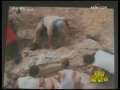 新闻袋袋裤 新闻袋袋裤 2009年 第64期