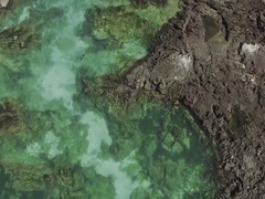 蓝色星球 第二季第6集：海岸