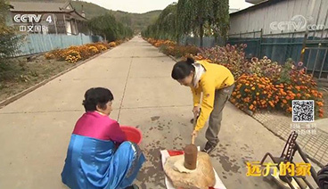 远方的家 《远方的家》 特别节目《大好河山》——三级阶梯看中国（9） 第三阶梯上的多彩生活 20190110