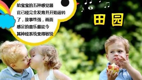 胎教音乐 第32周 田园