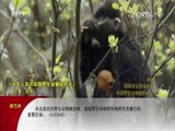 动物世界 《动物世界》 20161209 孤岛仙踪