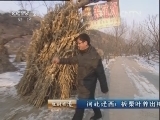 生财有道 [生财有道]河北迁西：板栗叶养出梅花鹿(20130121)