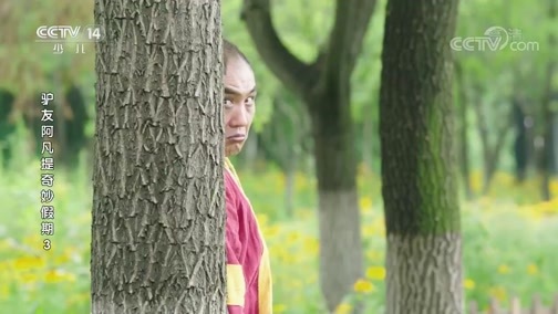 《驴友阿凡提奇妙假期》 第三季 第25集