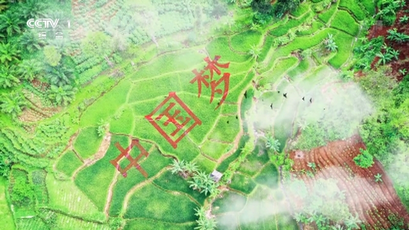 征程 《征程》 第18集 永远的清醒