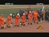 状元360 《旗鼓相当》 20130228