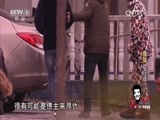 今日说法 《今日说法》 20150310 两会特别报道——小撒探会：“猎狐”在行动