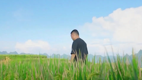 与梦想合拍 罗甸桑农的丝绸之路与我们的“蕉傲”