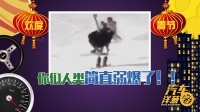 汽车洋葱圈 2016 辞旧迎新 年度逗b吐槽大盘点 11