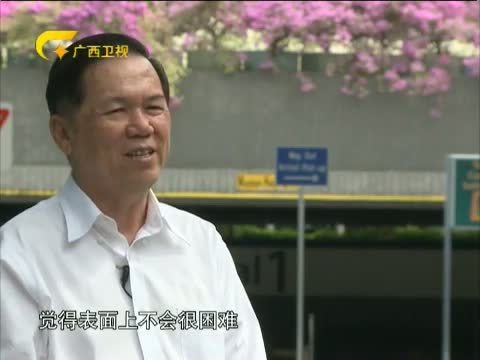 走南闯北广西人 《走南闯北广西人》 20140621 建筑大亨杨亚生