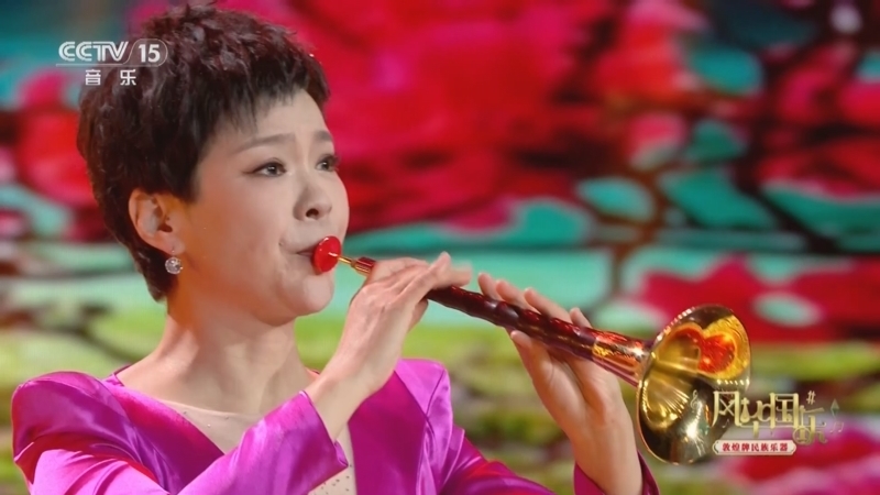 风华国乐 《风华国乐》 20240501