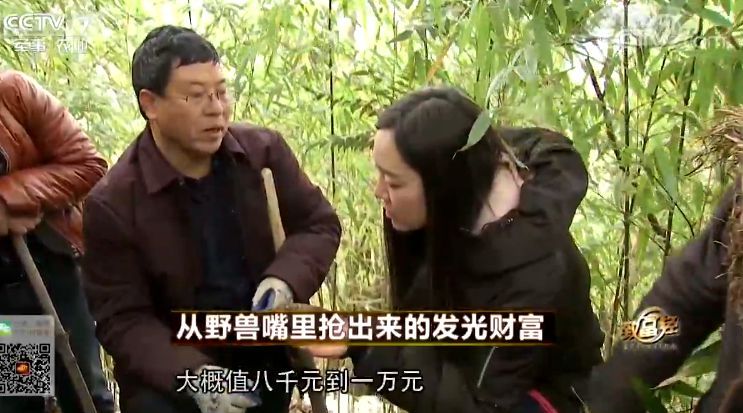 致富经 [致富经]从野兽嘴里抢出来的发光财富 20180315