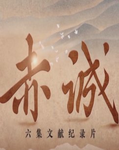 文献赤诚 海报