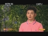 CCTV空中剧院 《CCTV空中剧院》 20140719 京剧《杨家将》（访谈）