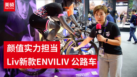 ENVILIV ADVANCED 碟刹气动公路车