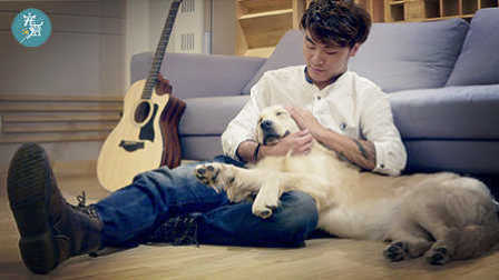一条名叫Q的狗与玩音乐主人的感情羁绊 17
