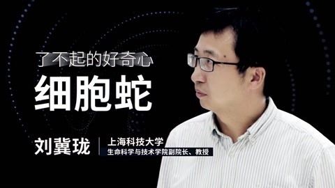 一刻talks 一刻talks | 刘冀珑：从细胞到细胞蛇