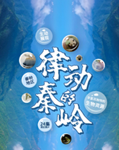 律动的秦岭 海报