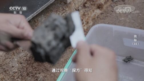 奥秘 《奥秘》 20200818 （22）
