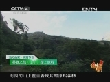 远方的家 特别节目 墨脱之行（上） 《远方的家》 20130408