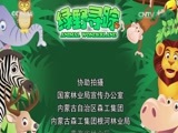 绿野寻踪 《绿野寻踪》 20161116