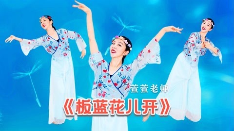 广场舞《板蓝花儿开》
