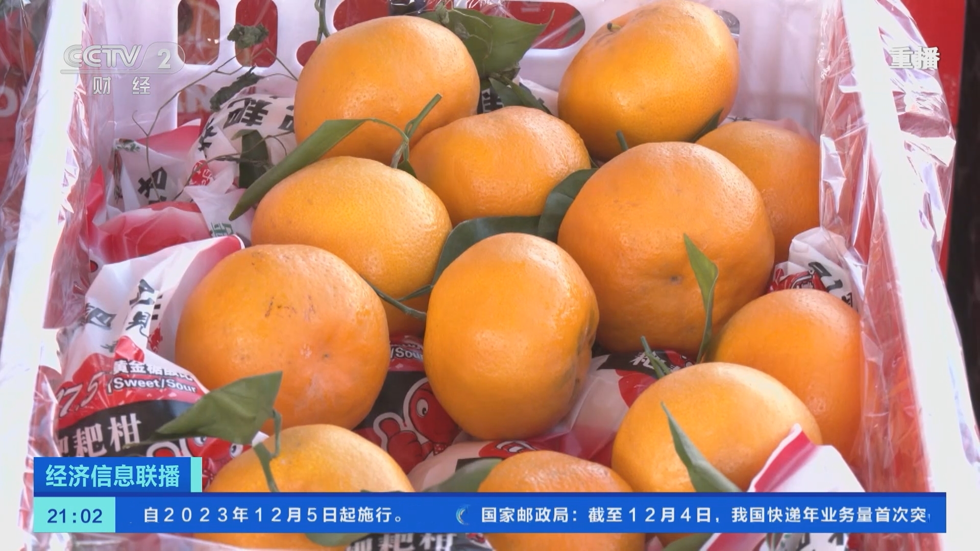 经济信息联播 《经济信息联播》 20231205