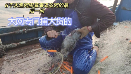 南澳岛赶海日记 挑战6千米渔网围岛放网最后一网，大网是专门捕大货的，来看收获