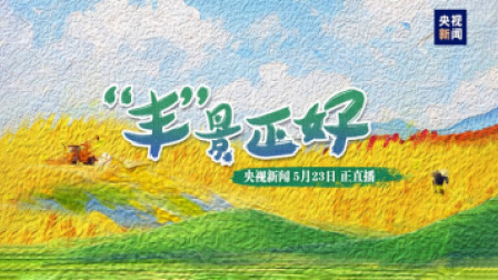 “丰”景正好 “三夏”时节看农忙