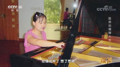 读书 《读书》 20190623 陈燕 《听见：陈燕的调律人生》 陈燕的调律人生 下